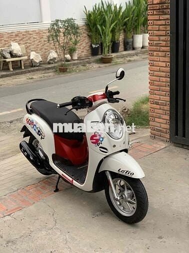 scoopy 2020