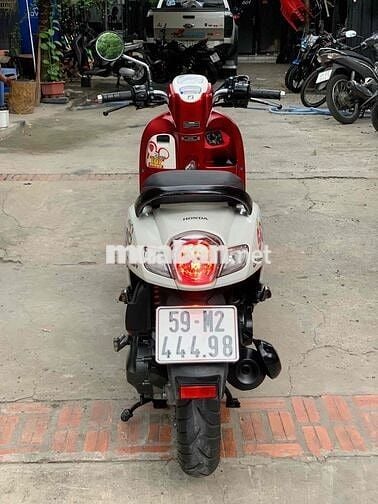 scoopy 2020