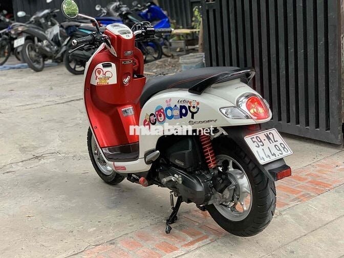 scoopy 2020