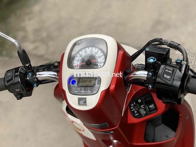 scoopy 2020