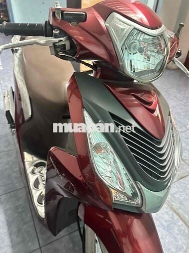 xe 2019 dk 2021