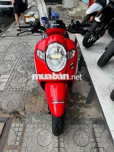 SCOOPY 2020. Xe Zin Đẹp Quá - Máy Zin Cực Êm