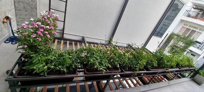 Nhà mặt tiền gần phố đi bộ Xuân Thủy, Chợ Thảo Điền, P. Thảo Điền, Q2