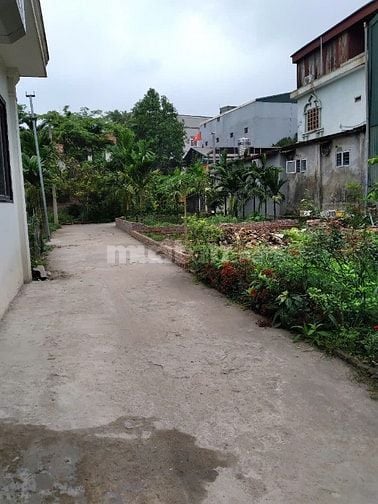 Bán đất thôn 3 Vạn Phúc - Thanh Trì. DT 58m, MT 8.3m. Ô tô tải vào tận