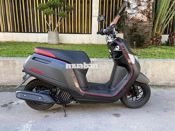 Honda Dunk bản đặc biệt