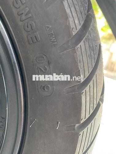 Honda Dunk bản đặc biệt