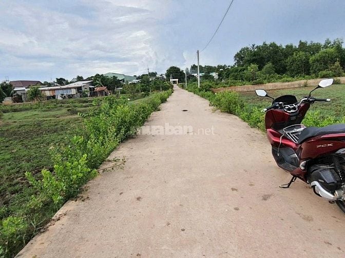 Đất mặt tiền đường nhựa lớn Trần Văn Trà và đất mặt tiền đường nhánh 