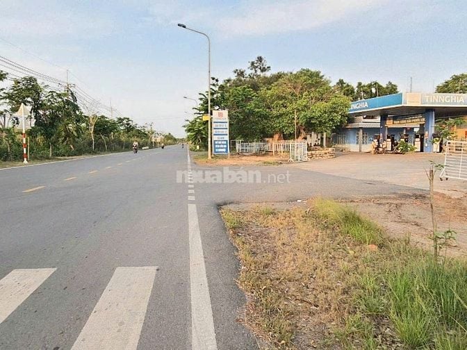 Đất mặt tiền đường nhựa lớn Trần Văn Trà và đất mặt tiền đường nhánh 