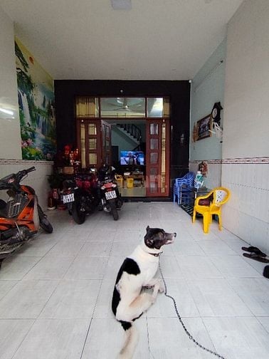 Bán Nhà HXH 8m đường Thạch Lam Phú Thạnh Tân Phú 4x17m 3 tầng giá 6.99
