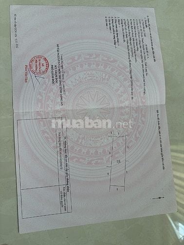bán đất xã thuật thành , huyện cần Giuộc , tỉnh long an