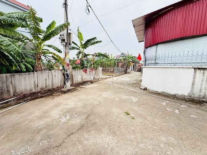 Cơ hội vàng sở hữu đất tại Đông Anh – Giá cực kỳ hấp dẫn!