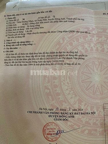 Cơ hội vàng sở hữu đất tại Đông Anh – Giá cực kỳ hấp dẫn!