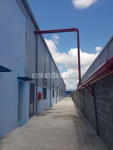 Bán nhà xưởng mới xây dựng KCN Đức Hòa 3 tiếp giáp Vành Đai 4, Long An