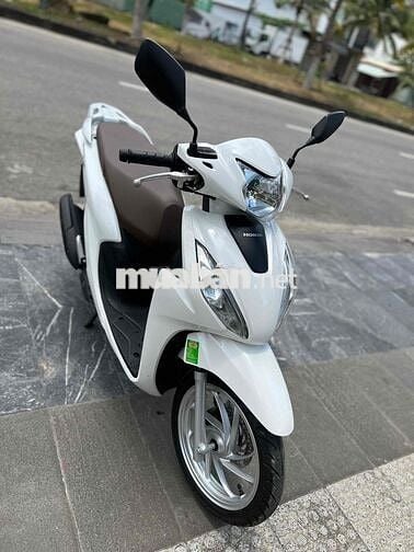 vison cuối 2024 biển 43 ❤️❤️❤️