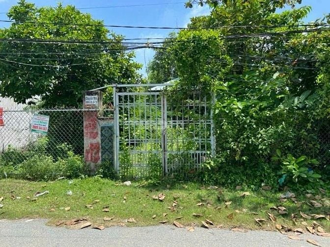Bán 568m2 full thổ cư Đức Hòa - Long An
