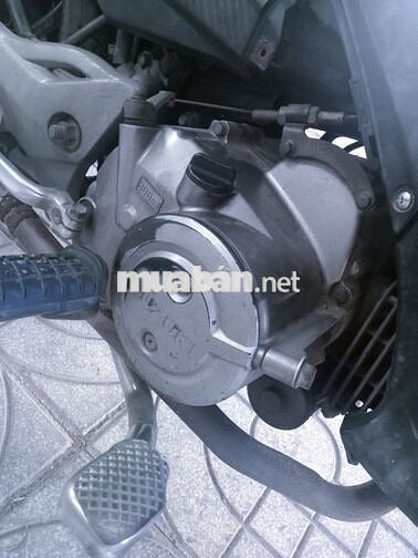 Xe axelo 125 giao cave gốc