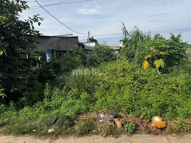Siêu Hot cần bán lô đất thổ vườn mặt tiền đường D4, Tân Phú trung, 240