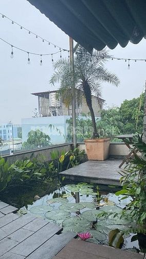 Việc Làm Uy Tín Cho Sinh Viên Quận Tân Bình