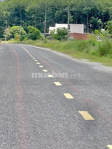 Bán Rẻ Miếng Đất Mặt Tiền Đường Liên Huyện DH519, Diện tích 550m2