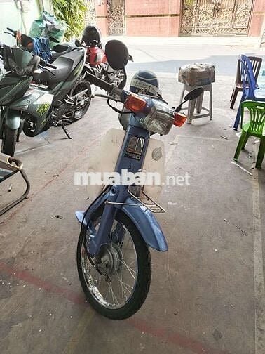 Gã con vợ Cub 82