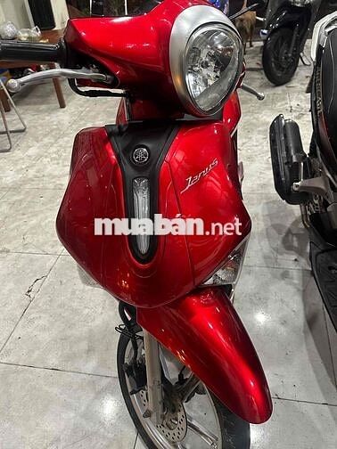 xe giá gẻ