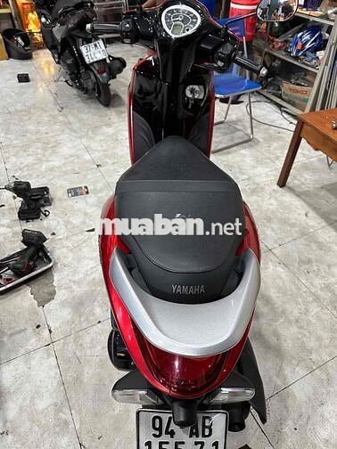 xe giá gẻ