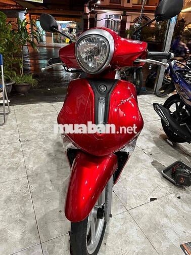 xe giá gẻ