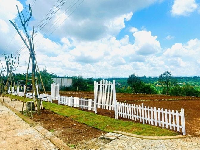 Đầu tư siêu lời 156m² đất sát Quốc Lộ 20, Di Linh chỉ với 286 triệu