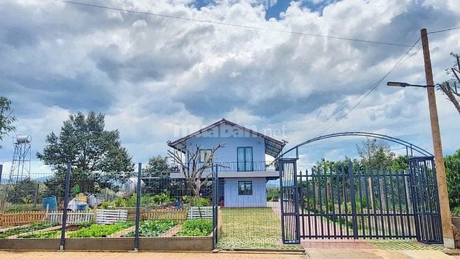 Đầu tư siêu lời 156m² đất sát Quốc Lộ 20, Di Linh chỉ với 286 triệu