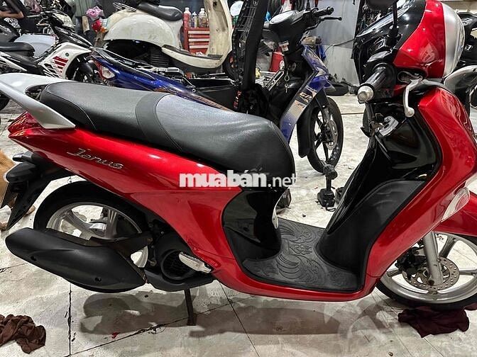 xe giá gẻ