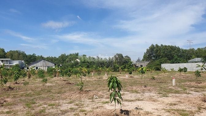 Chính Chủ Vĩnh Thanh Nhơn Trạch đường xe hơi gần nút giao giá 1tr270/m