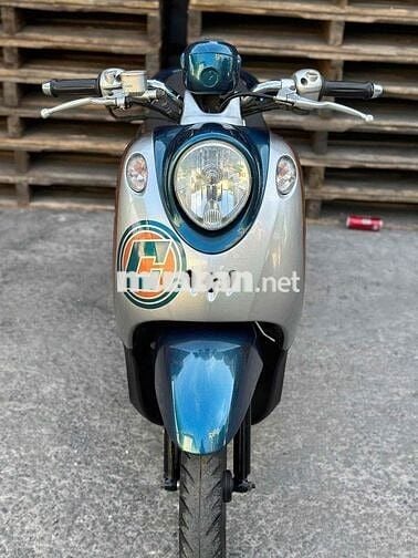 classico 2008 (thái ghi đông trần)