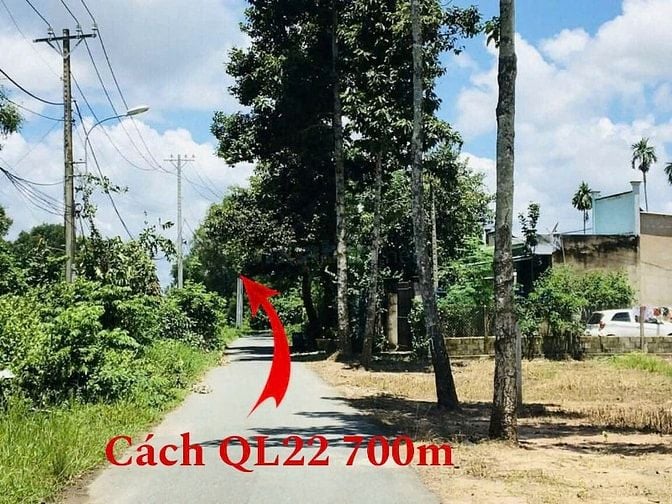 LÔ GỐC 2MT ĐƯỜNG NHỰA SHR CÁCH QL22 CHỈ 700M GIÁ NGỘP 980 TRIỆU