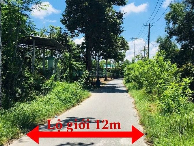 LÔ GỐC 2MT ĐƯỜNG NHỰA SHR CÁCH QL22 CHỈ 700M GIÁ NGỘP 980 TRIỆU