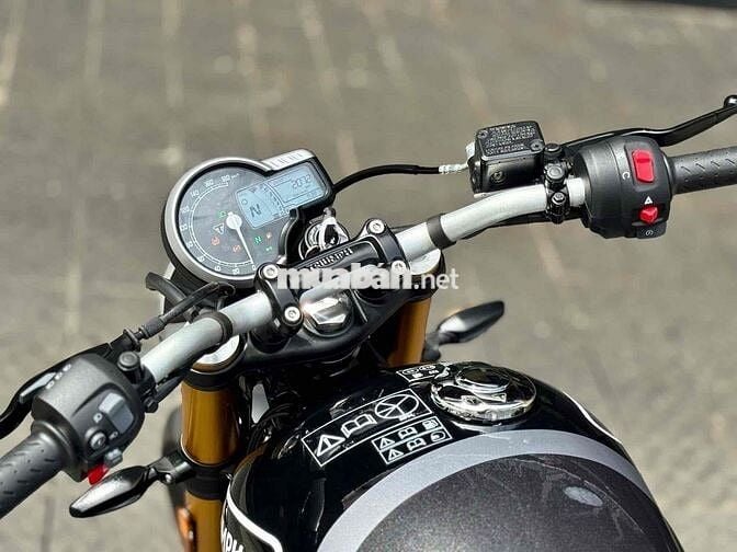 Triumph Speed 400 2024