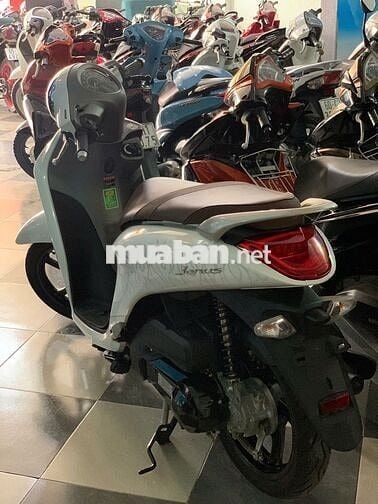 Janus đời 2023 odo 600km, xe cọp siêu lướt.