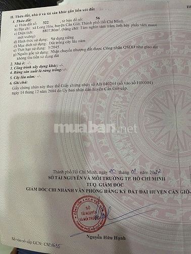 Cần Bán Đất 4500m2 Ngang 85mx60m, Đường Duyên Hải, Long Hòa, Cần Giờ, 