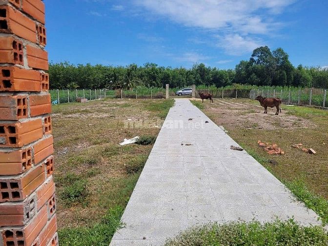THÔNG BÁO ĐẤU GIÁ TÀI SẢN THEO THỦ TỤC RÚT GỌN