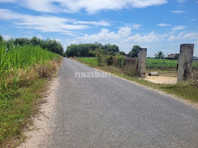 THÔNG BÁO ĐẤU GIÁ TÀI SẢN THEO THỦ TỤC RÚT GỌN