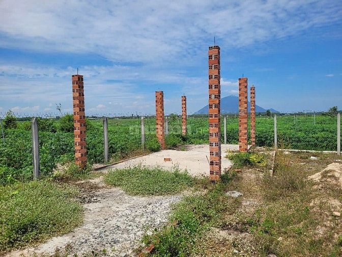 THÔNG BÁO ĐẤU GIÁ TÀI SẢN THEO THỦ TỤC RÚT GỌN