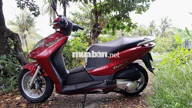 Dylan nhập ý 150 bs 29 Hà Nội giấy tờ đầy đủ