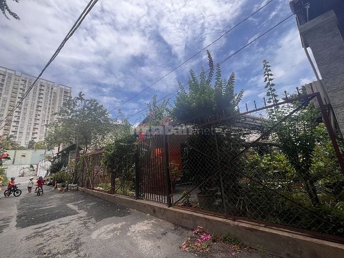 Cho thuê mặt bằng 800m2 ven sông Nguyễn Duy Trinh, Thủ Đức