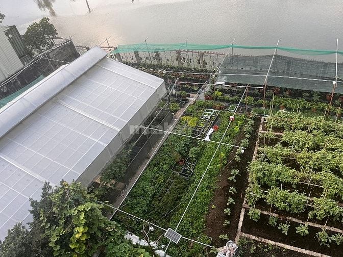 Cho thuê mặt bằng 800m2 ven sông Nguyễn Duy Trinh, Thủ Đức
