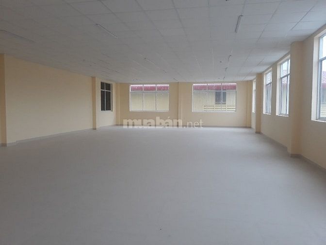 Bán nhà xưởng nằm trong KCN Tân Đô, Đức Hòa, Long An 160,65 tỷ