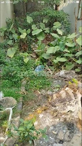 🏡 BÁN ĐẤT THỔ CƯ – VÂN TẢO, THƯỜNG TÍN, HÀ NỘI