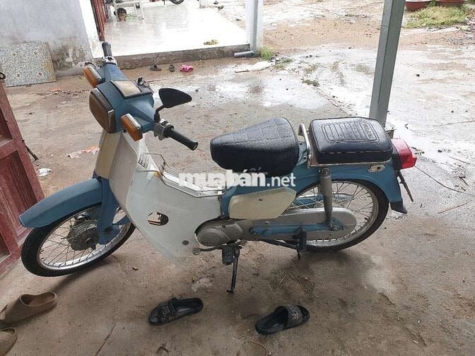 Cần bán lại con cud cho các em đi học