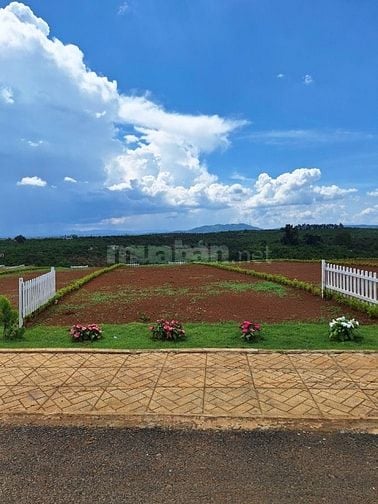 Đất Nền Di Linh Sổ Sẵn Cạnh Nút Giao Cao Tốc - Mặt Tiền 8m Chỉ 7XX