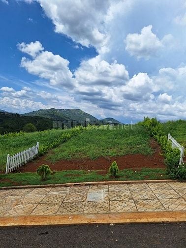 Cần Bán Gấp! Đất View Đồi Chill Tại Di Linh Gần Cao Tốc, Giá Siêu Tốt!