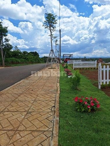 Cần Bán Gấp! Đất View Đồi Chill Tại Di Linh Gần Cao Tốc, Giá Siêu Tốt!