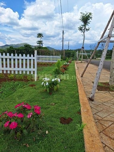 Cần Bán Gấp! Đất View Đồi Chill Tại Di Linh Gần Cao Tốc, Giá Siêu Tốt!